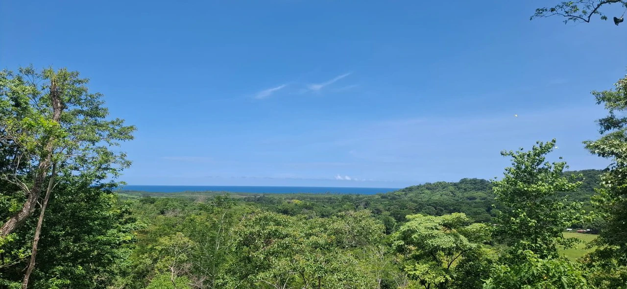 Land in Pilas de Bejuco: 19 Hectares in Pilas de Bejuco - photo 3