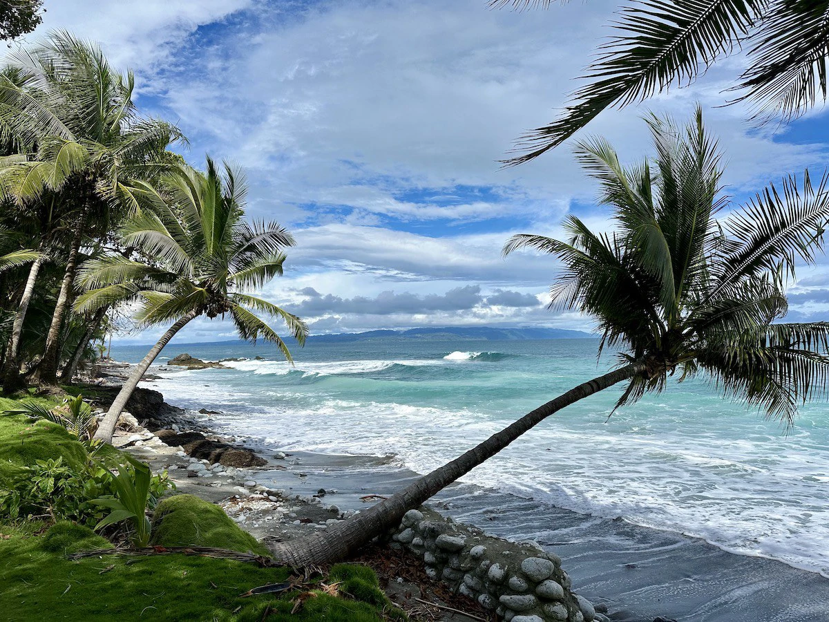 Beautiful Lot in Matapalo Osa Peninsula - Gallery image 9
