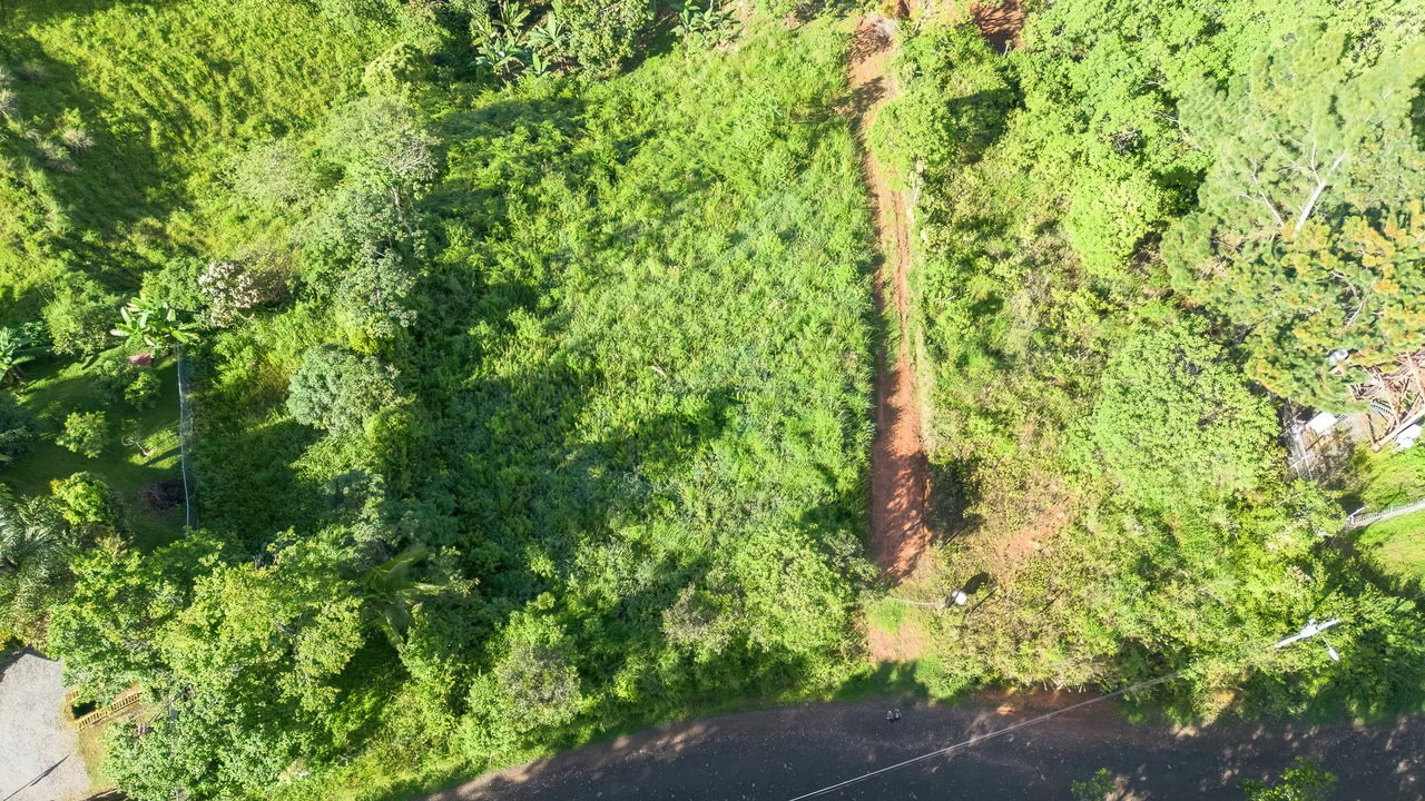Valley View Lot in Quebradas, Pérez Zeledón.: Mountain Home Construction Site For Sale in Quebradas - Gallery image 9