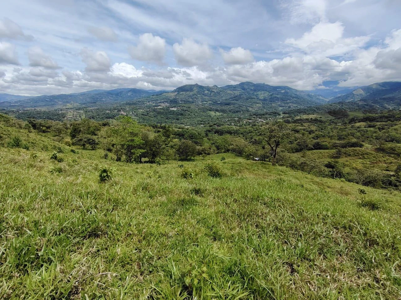 Countryside Home Construction Site For Sale in General Viejo - Gallery image 4