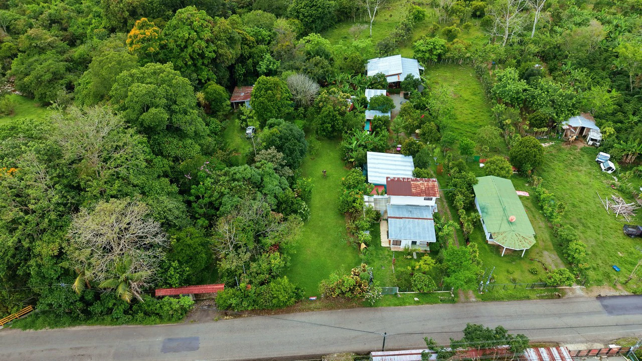 LOTE PLANO CON FRUTALES: Mountain Home Construction Site For Sale in General Viejo - Gallery image 20