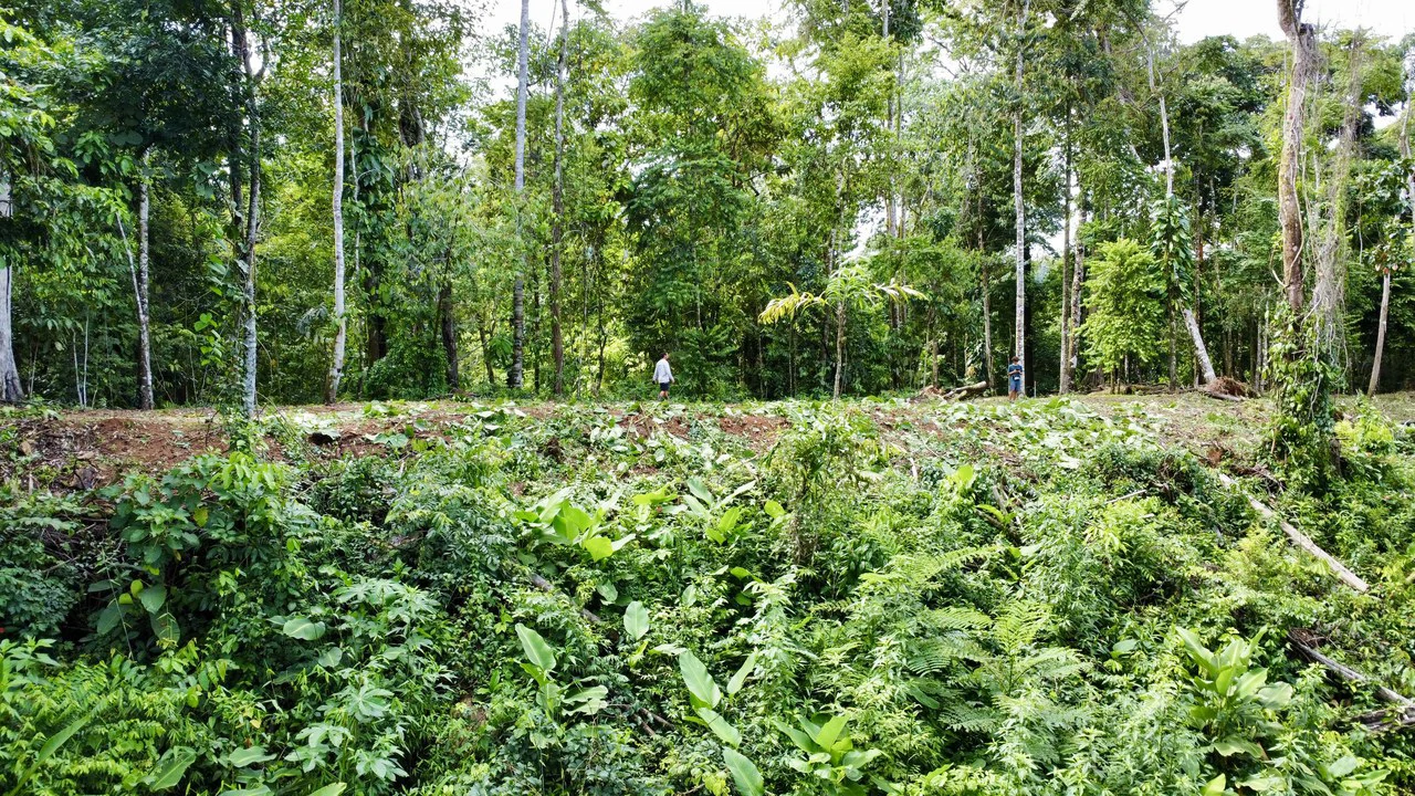 Marvelous Ocean View Parcel in Uvita. - Gallery image 15