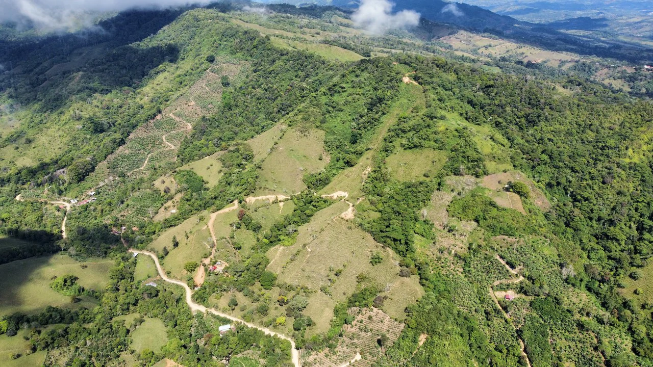 Finca Ceibo Memo: Mountain Home Construction Site For Sale in San Isidro del General - Gallery image 5