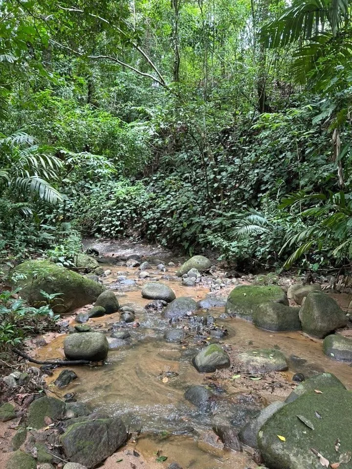 River Frontage Lot For Sale in Costa Rica Residential & Commercial Zoning - Gallery image 12