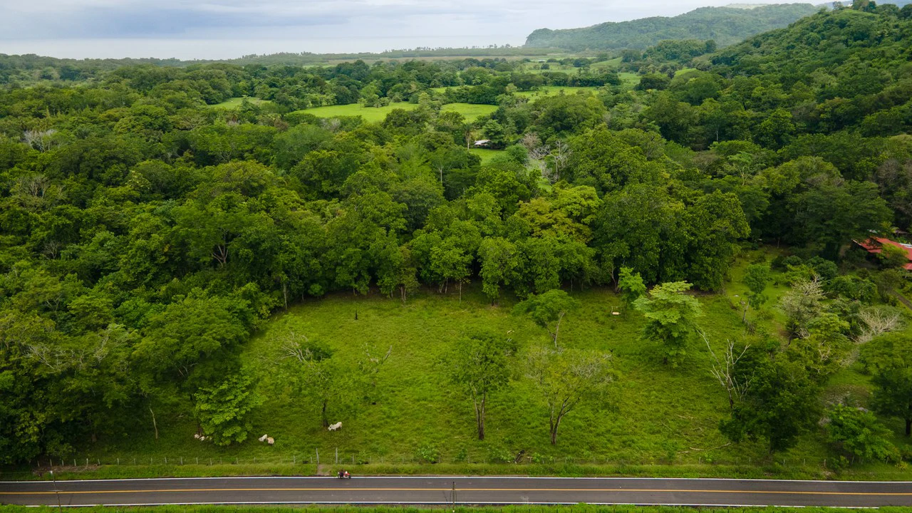 Exceptional Nearly 3-Hectare Property in Pueblo Nuevo, Bejuco, Guanacaste - Gallery image 4