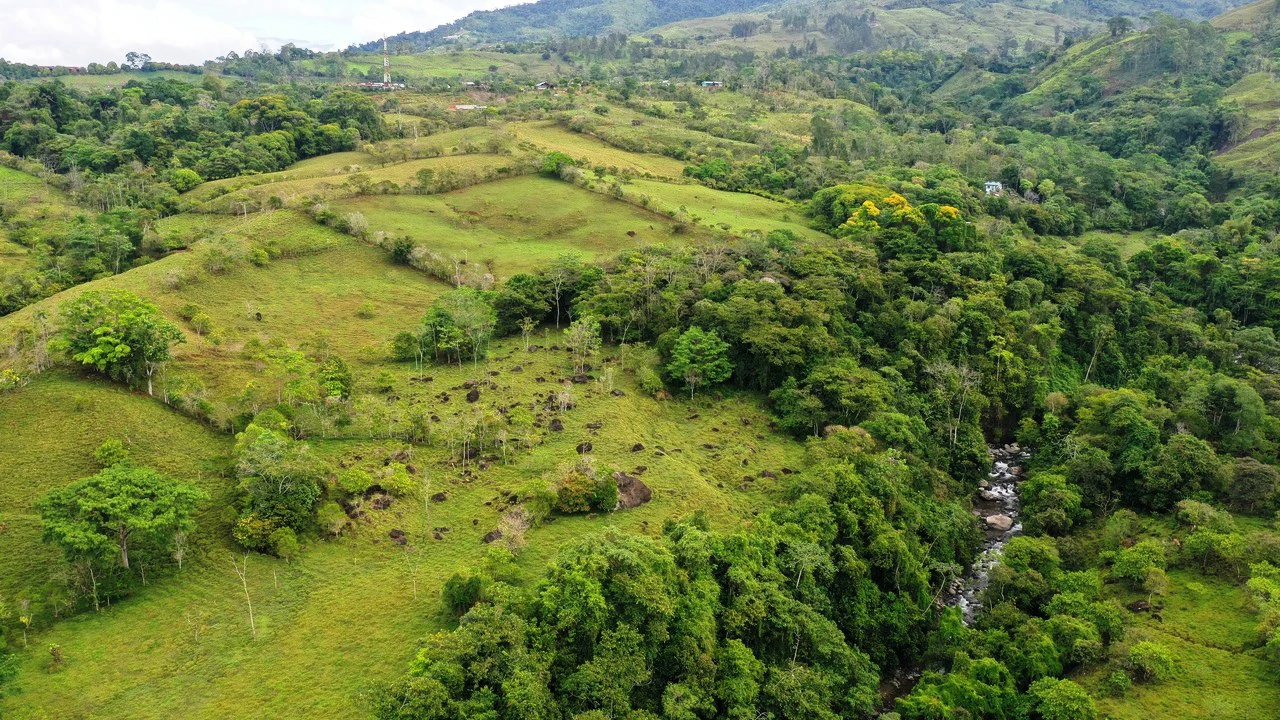 45 Acre Premier Riverfront Ranch in Santa Teresa Pérez Zeledón - Gallery image 8