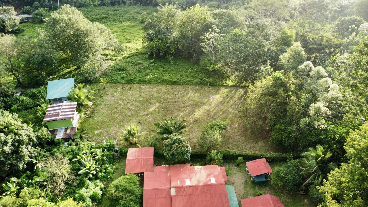 Half-Acre of Usable Land, 3-Minute Walk to National Park Beach!!: Near the Coast Home Construction Site For Sale in Uvita - Gallery image 6