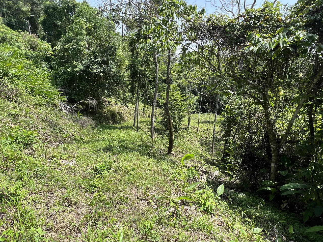Affordable Home Building Site in Lagunas - Gallery image 5