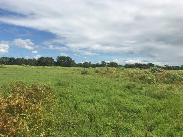 NYA project Price $ 17 m². 21 hectares - Gallery image 3