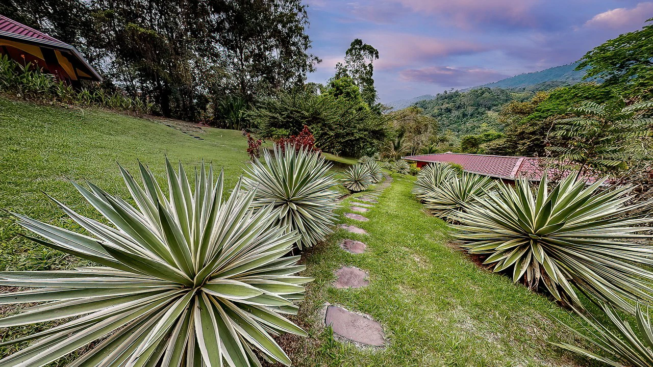 A TRANQUIL HAVEN: PRIME INVESTMENT OPPORTUNITY IN UVITA'S LUSH RIVER ENCLAVE: Mountain Hotel/Resort/Hostel For Sale in Uvita