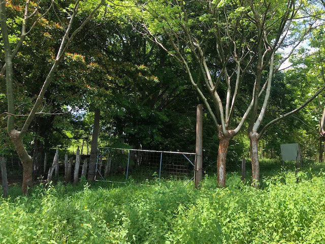 Amazing 50% discount for Huge ocean-view farm for sale surrounded by soft rolling hills and pristine nature - Gallery image 31