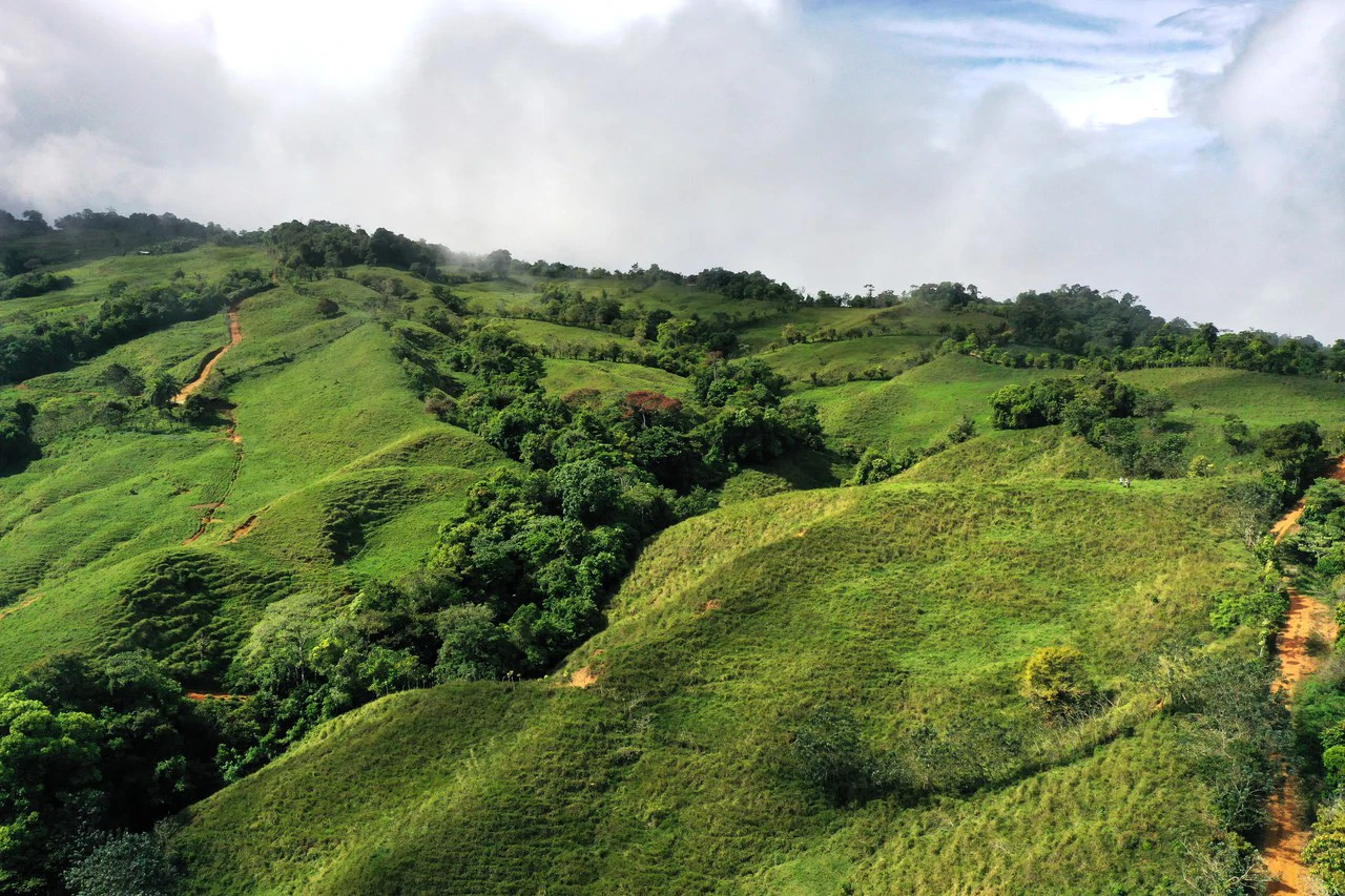 150 Acre Cattle Ranch with Panoramic Views Above the mountains of Uvita - Gallery image 7