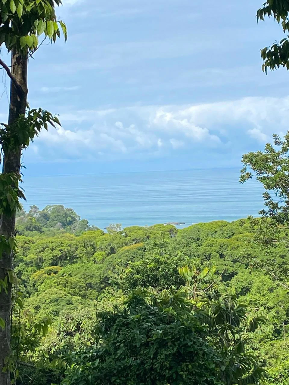 Spectacular Ocean view on 7.7 acres: Mountain Home Construction Site For Sale in Bahía Ballena - Gallery image 3