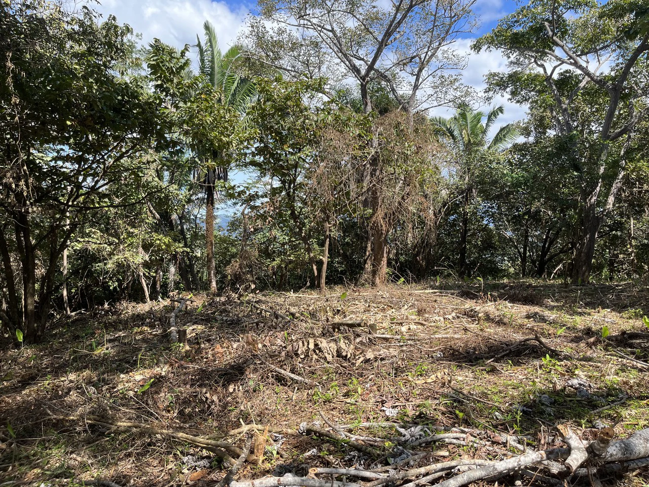 Lot 74 Montana: Beautiful Ocean View - Gallery image 3