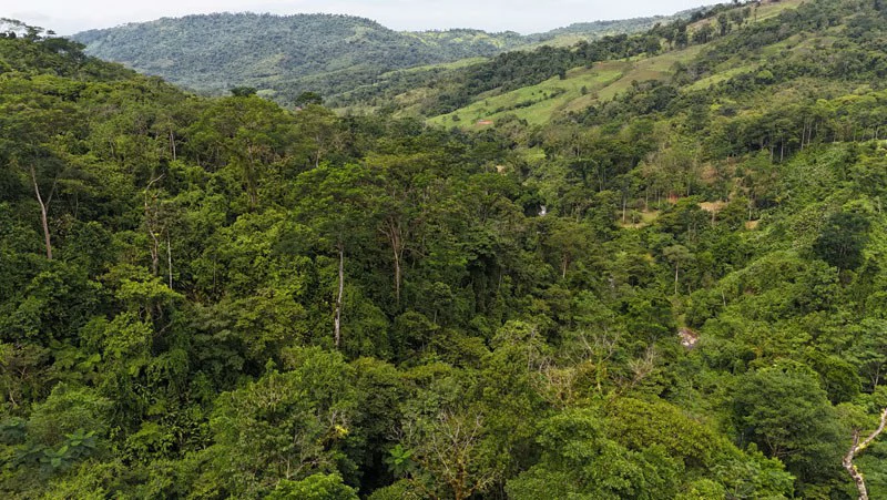 Waterfall Estate, Dos Bocas, Dominical Featuring Twin Waterfalls, Springs, Creeks & Rivers - Gallery image 46