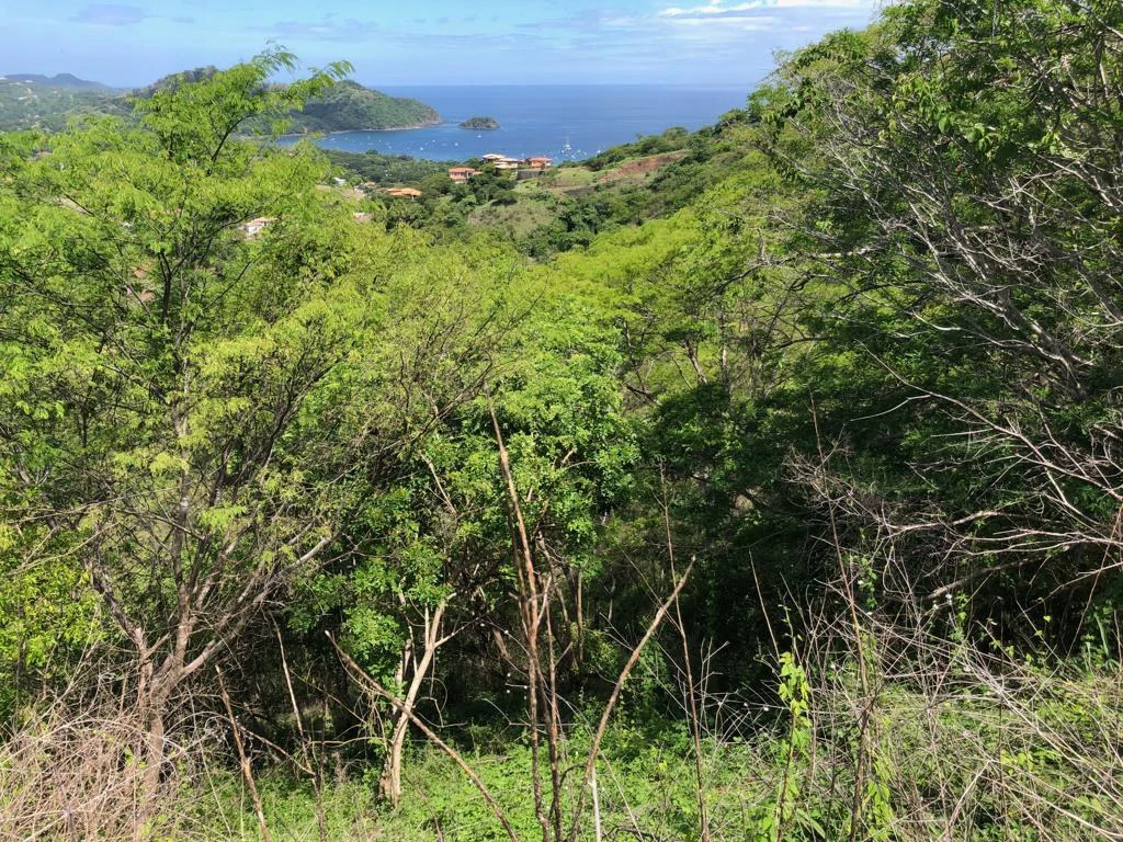 Property with spectacular ocean view - Playas del Coco - Gallery image 6
