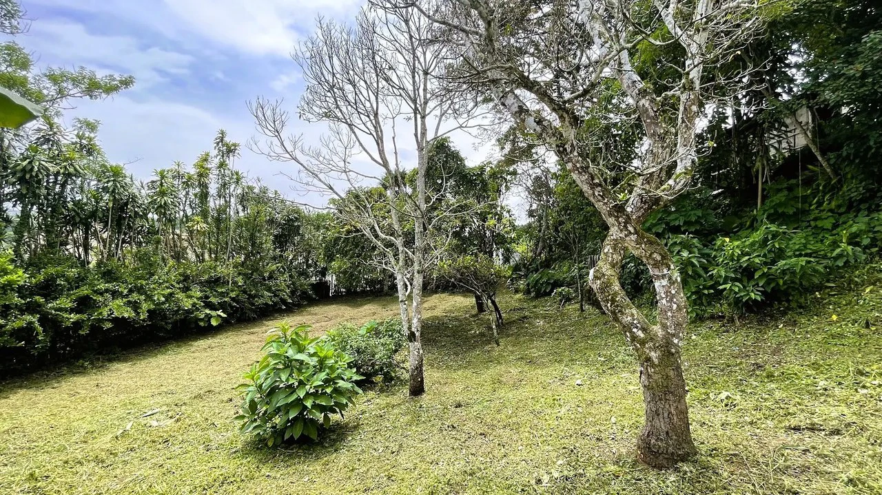 INVESTMENT: HOUSE & LARGE LOT IN SAN ISIDRO, SAN RAMON: House For Sale in San Ramón