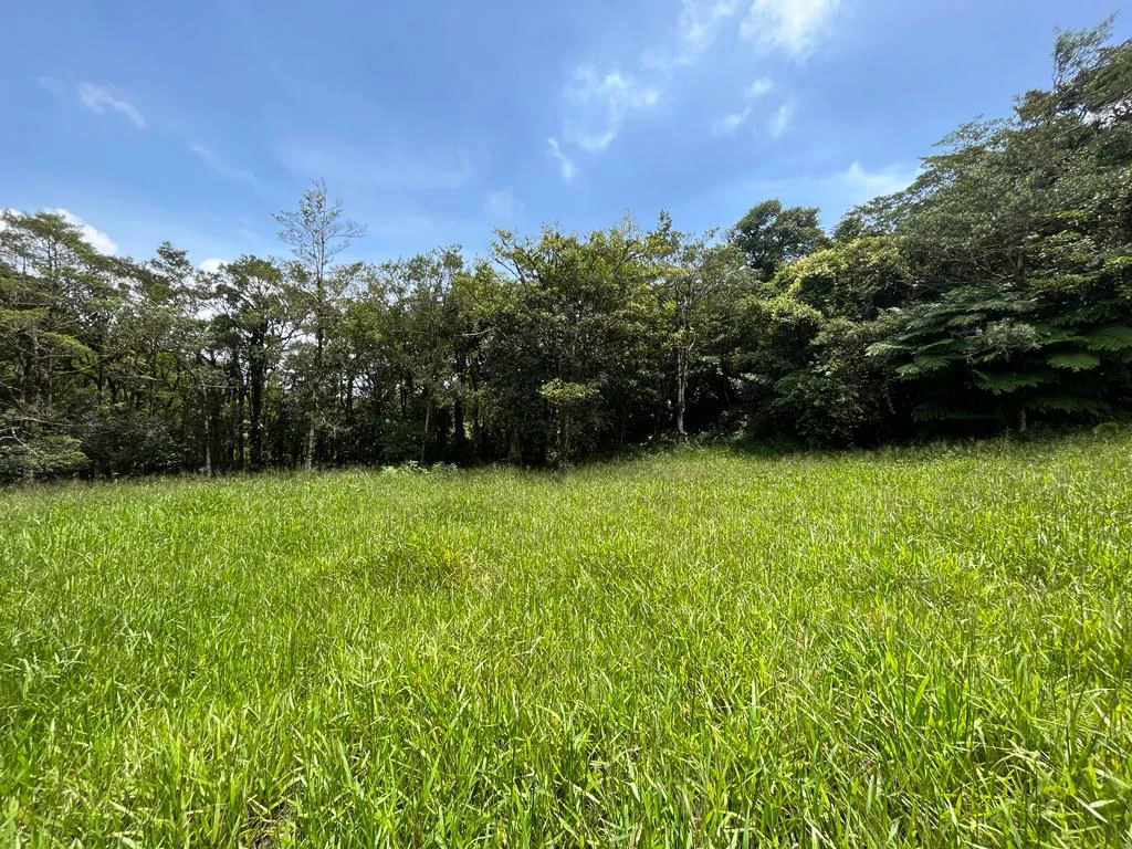 Fantastic property near Biological Reserve - Gallery image 23