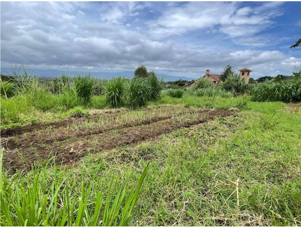 For Sale: This beautiful 1.12-hectare estate in Santa Cecilia de San Isidro de Heredia, on Caricias Street. - Gallery image 15