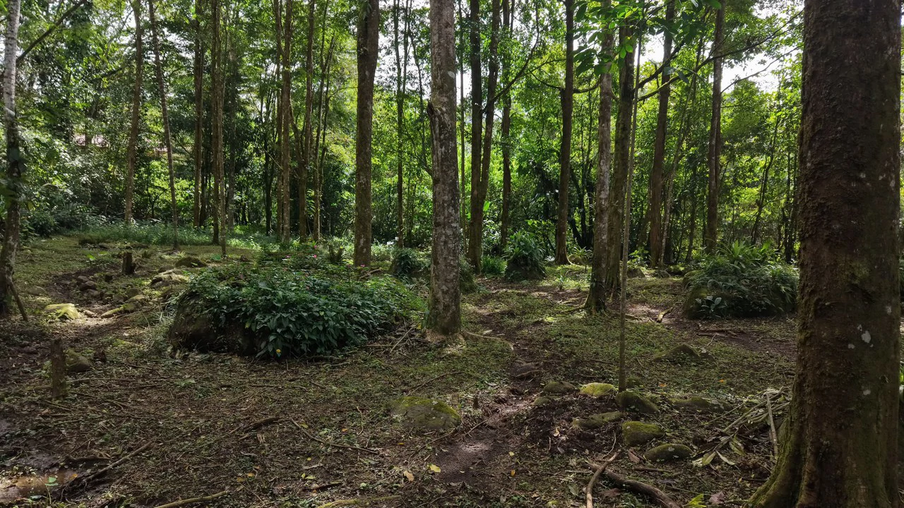 Mountain Home Construction Site For Sale in Santa Elena - photo 10