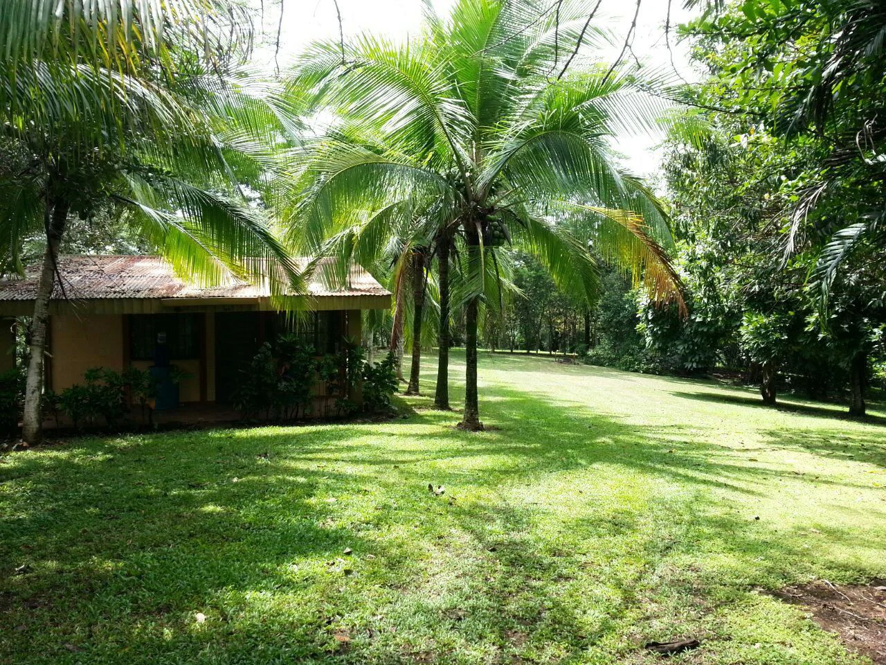 Finca Wellness: Live the Pura Vida Dream – Nature, Privacy & Pacific Beaches - photo 12