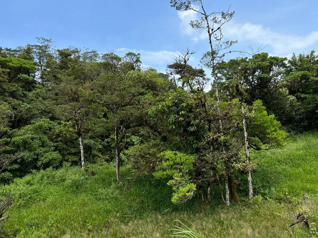 Fantastic property near Biological Reserve