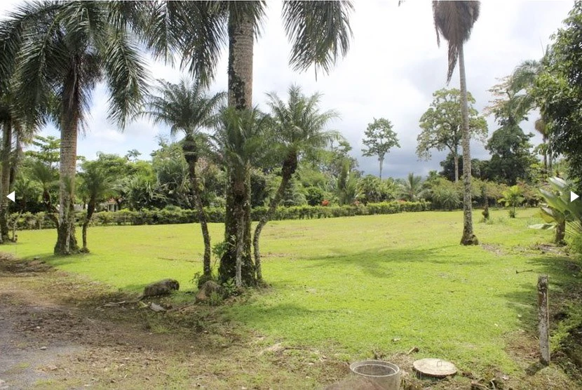 Beautiful Home for Sale with its own Natural Paradise - Gallery image 32