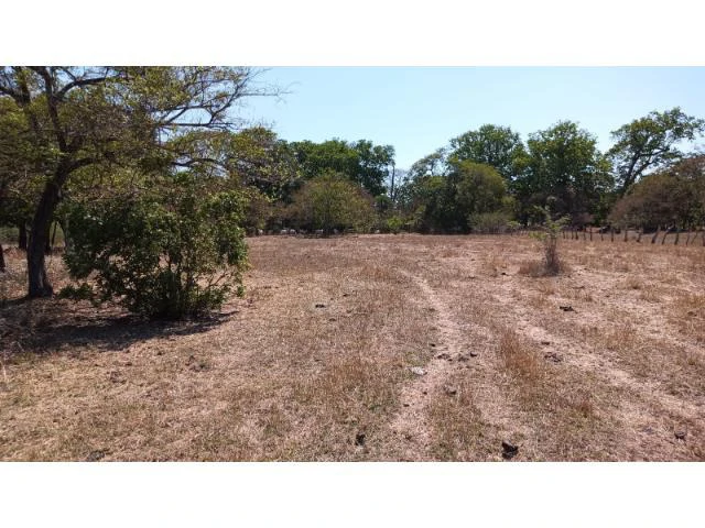 3 Flat topography properties for sale near Playas del Coco, Great building potential in the province of Guanacaste - Gallery image 16