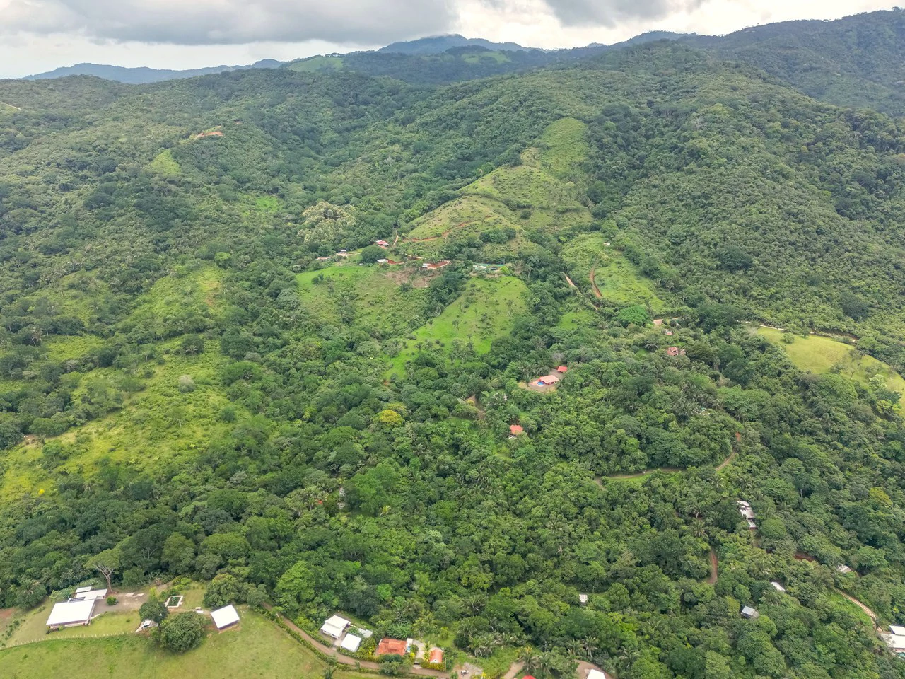 Development-Ready Land in a Stunning Setting Near Samara: Mountain Home Construction Site For Sale in Playa Samara - Gallery image 5