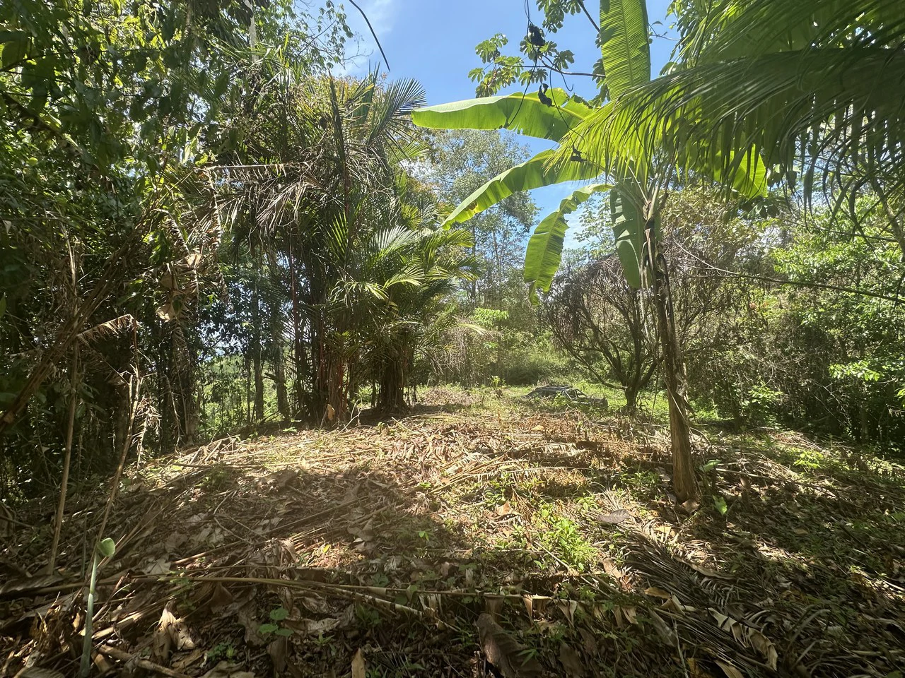 Ocean View Estate Lot with Private Waterfall – Uvita - Gallery image 13