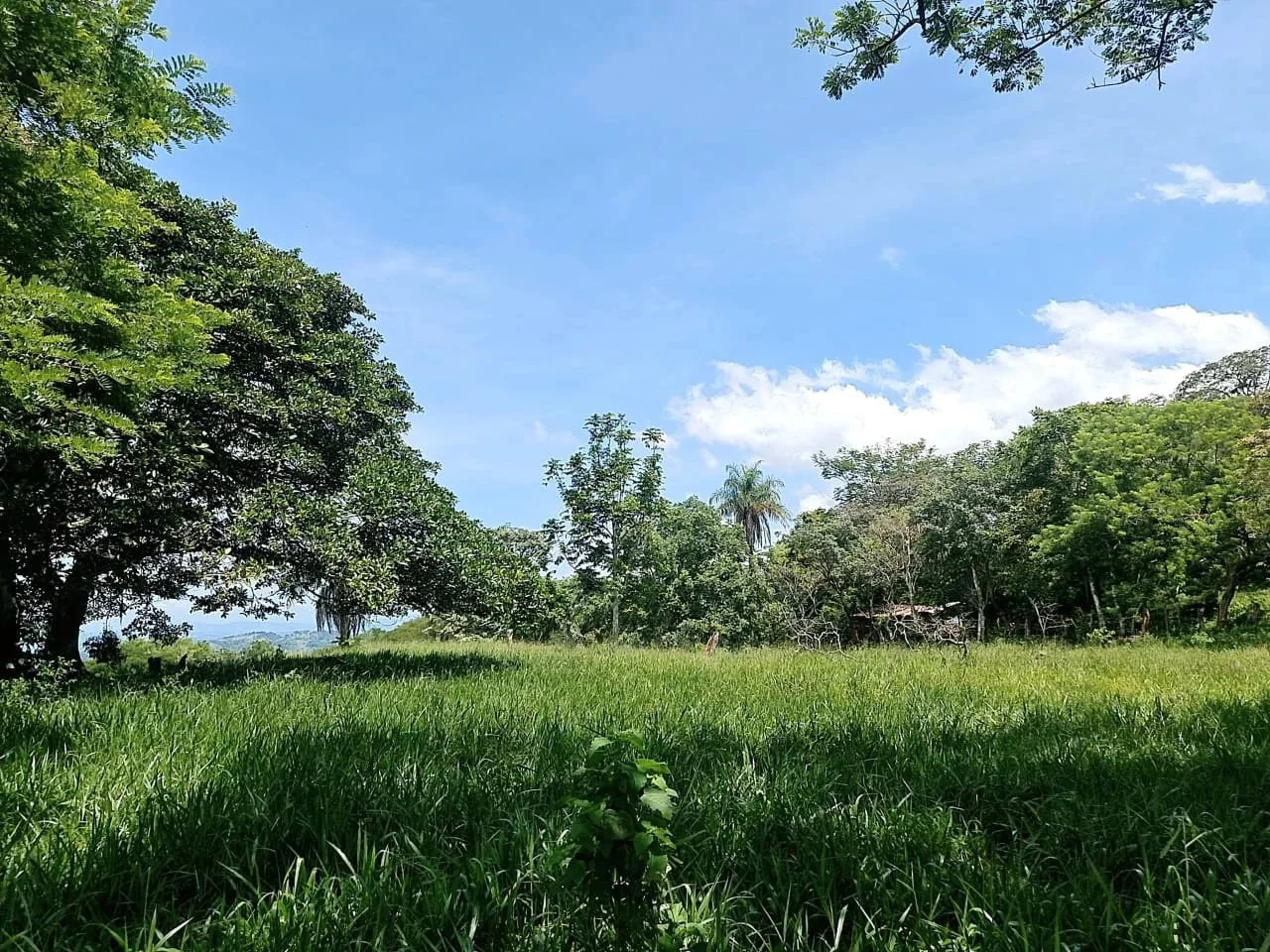Near the Coast and Mountain Home Construction Site For Sale in Orotina y Caldera - Gallery image 17