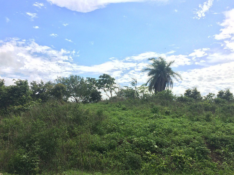 Mountain Property for Sale with charming 360º views of Guayabos Valley and the Volcanoes - Gallery image 14