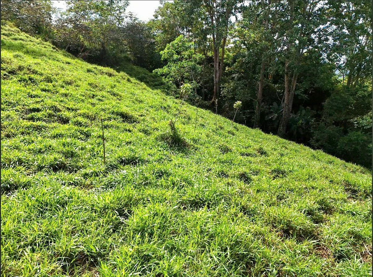 Mountain Home Construction Site For Sale in Miravalles - photo 4