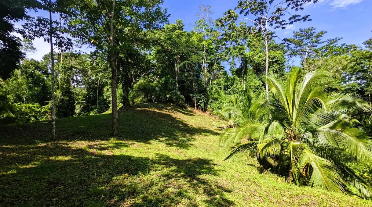 ID 4202: Affordable Lot inside the Gated Community with Owner Financing available - Gallery image 9