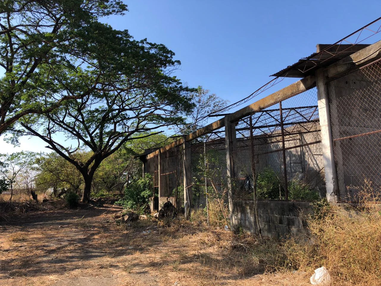 Large property with warehouses in Filadelfia, Carrillo - Gallery image 17