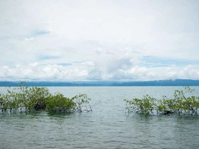 Titled Beach Property in the Osa - Gallery image 18