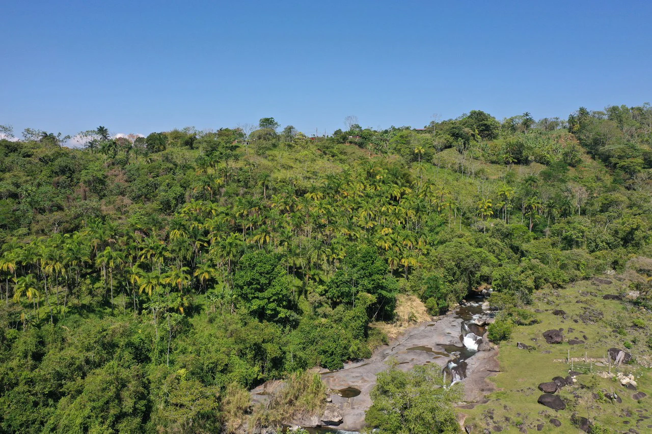 8 Acre Riverfront Sanctuary in San Pedrito Pérez Zeledón - Gallery image 9