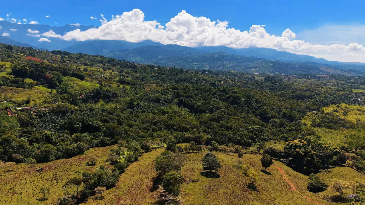 Agricultural Land For Sale in MORAZAN - Gallery image 24
