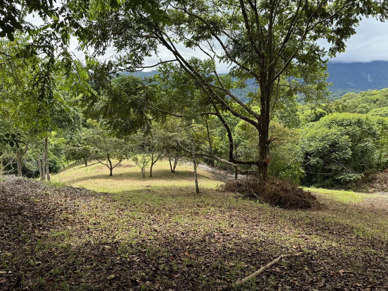 Diamante Waterfall View Land in Dominical 2.9 Acres - Gallery image 29