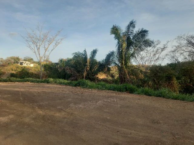 Building Lot for sale in a pristine and soothing woodland 3 km from Samara Beach - Gallery image 4
