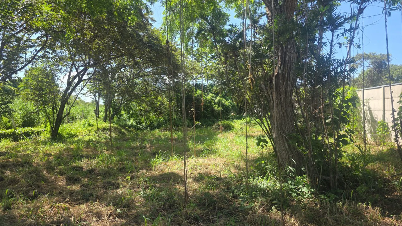 Commercial Airport property for sale with public road frontage on route #21, close to Liberia International Airport - Gallery image 4