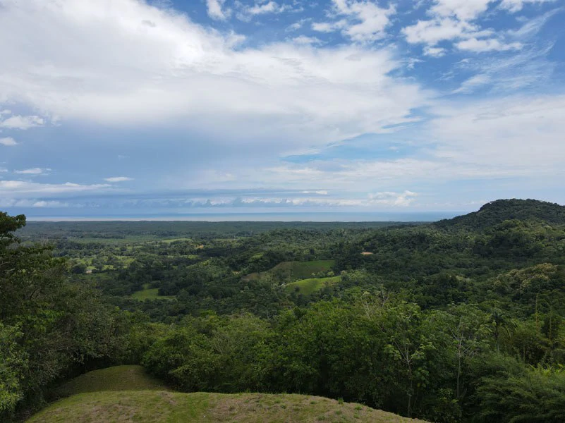 Panoramic 180 Degree Ocean View Lot Ready To Build Close To Ojochal - Gallery image 22