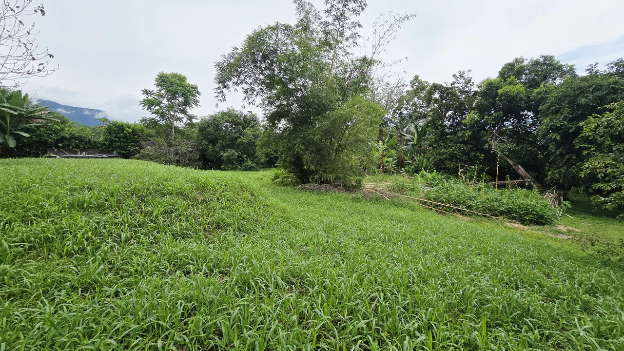 Near the Coast Multi Unit Building For Sale in Ojochal - photo 20