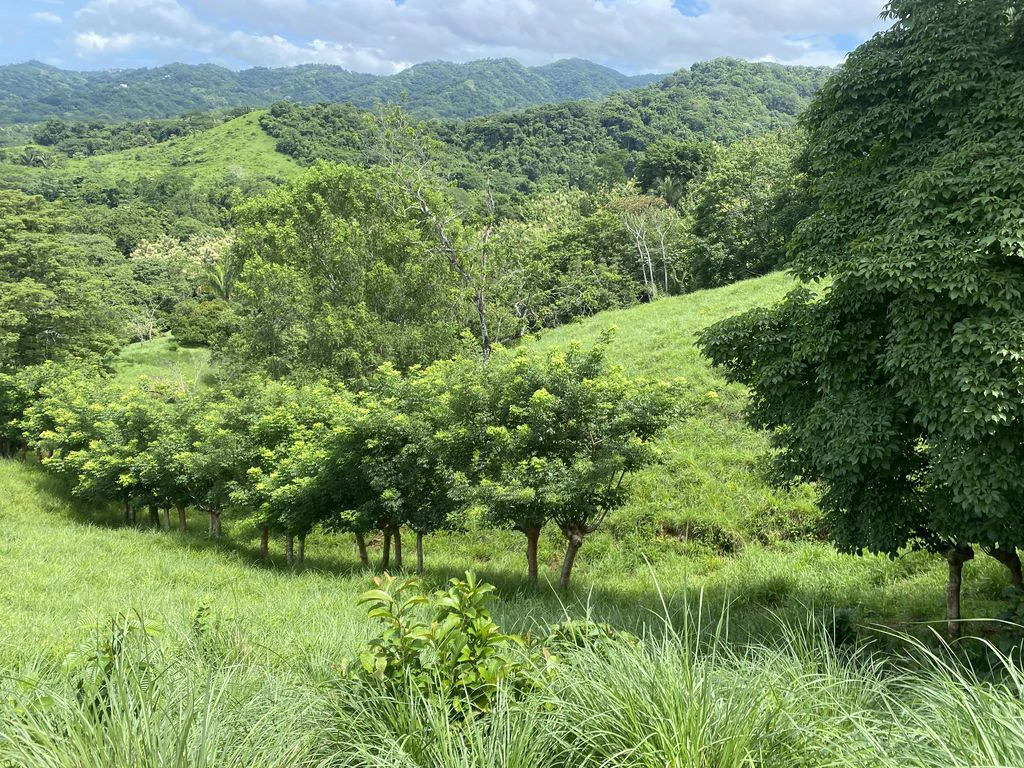 Finca Rio El Carmen: 3 HA Finca with Elevation Across from Renowned Rio Ora, 1 HA parcels available, Three 1700 m2 lots - All available in Rustic El Carmen