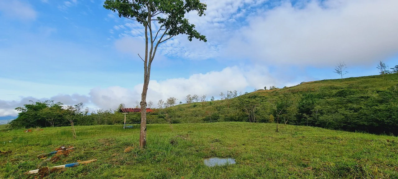 Lote 46 RISE: BEAUTIFUL 1.37-ACRE LOT WITH CREEK FOR SALE IN THE HEART OF THE RESIDENCIAL RISE, SANTA ELENA - Gallery image 11