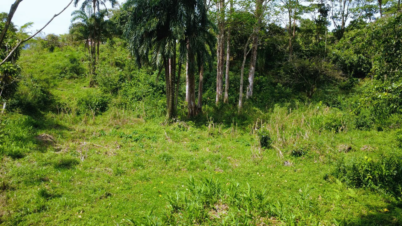 Home Construction Site For Sale in Centro de Pérez Zeledón - Gallery image 13