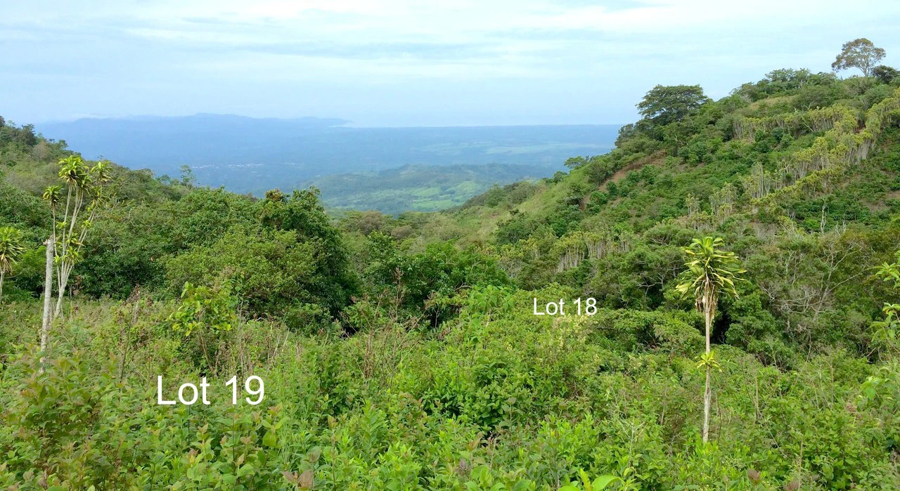 Lot # 18 Vista Mundo: One of the most spectacular lots in Vista Mundo Eco-community Costa Rica - Gallery image 3