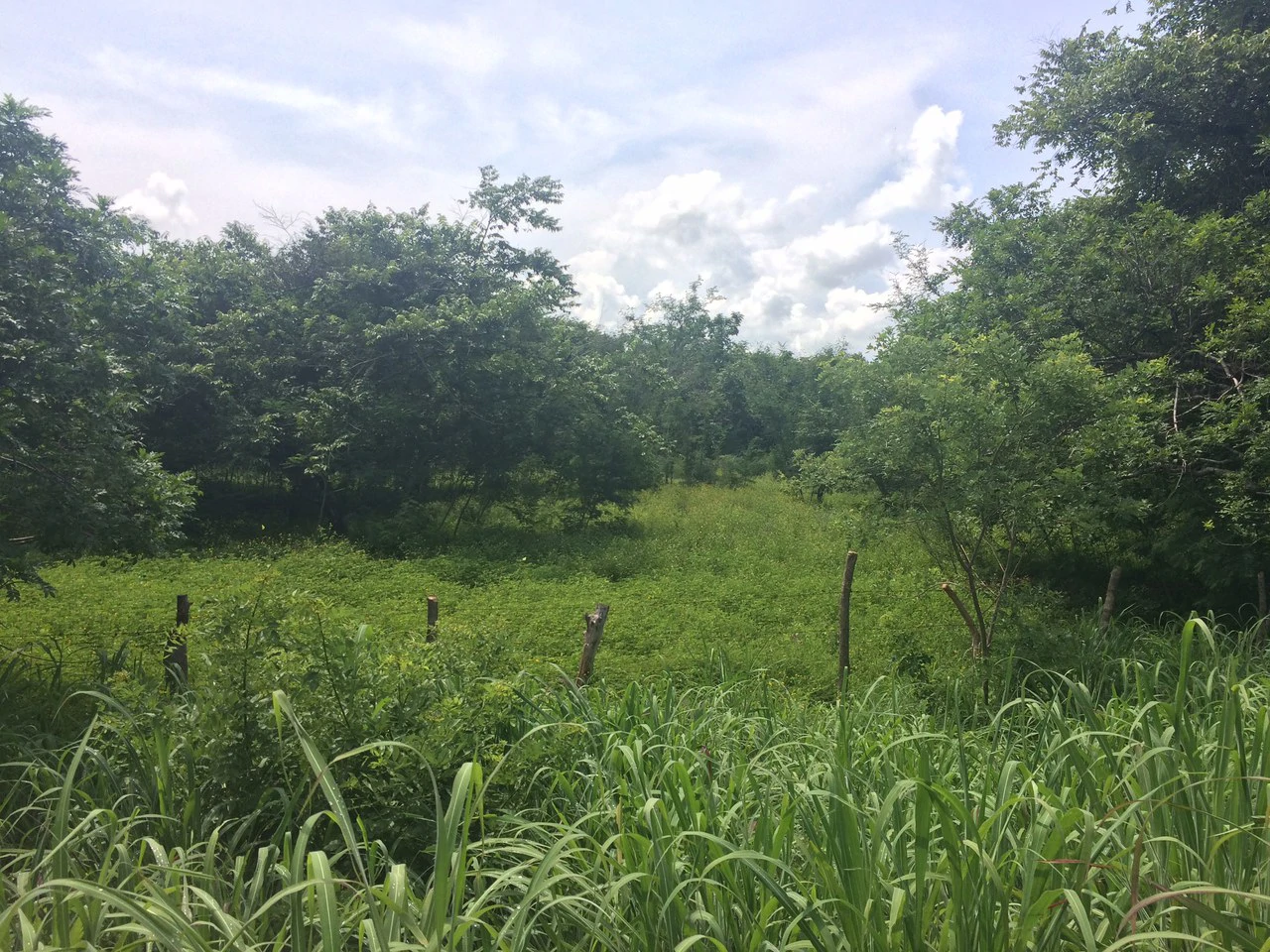 Commercial Airport Property for Sale in Liberia, Guanacaste Prime Frontage on Route #21 - Gallery image 7