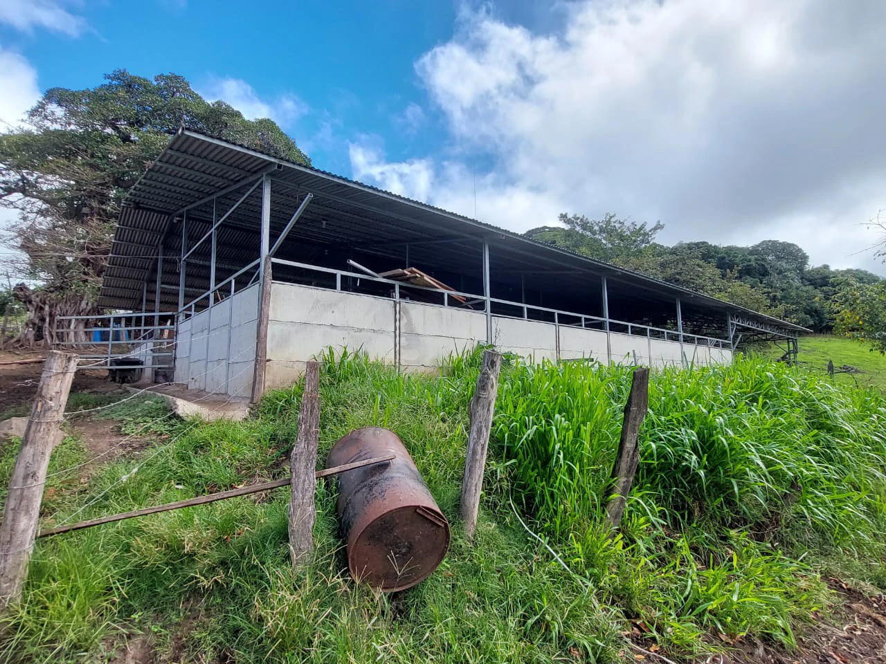 HACIENDA LOMBARDIA : Fully Operating Livestock Business - Gallery image 20