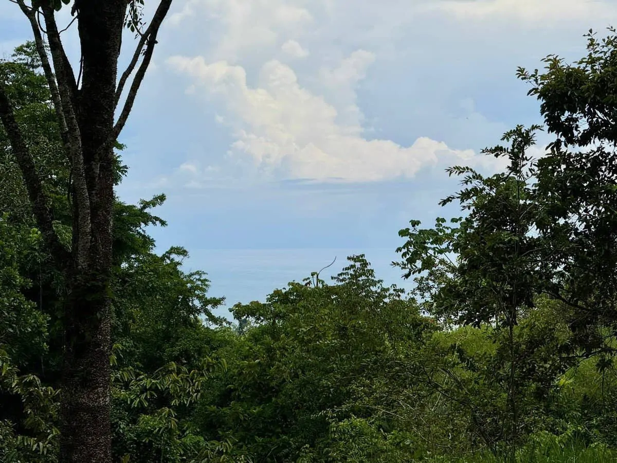 0.7 ACRES – Ocean View Lot With Creek Access, Public Road Frontage, All Utilities!!!